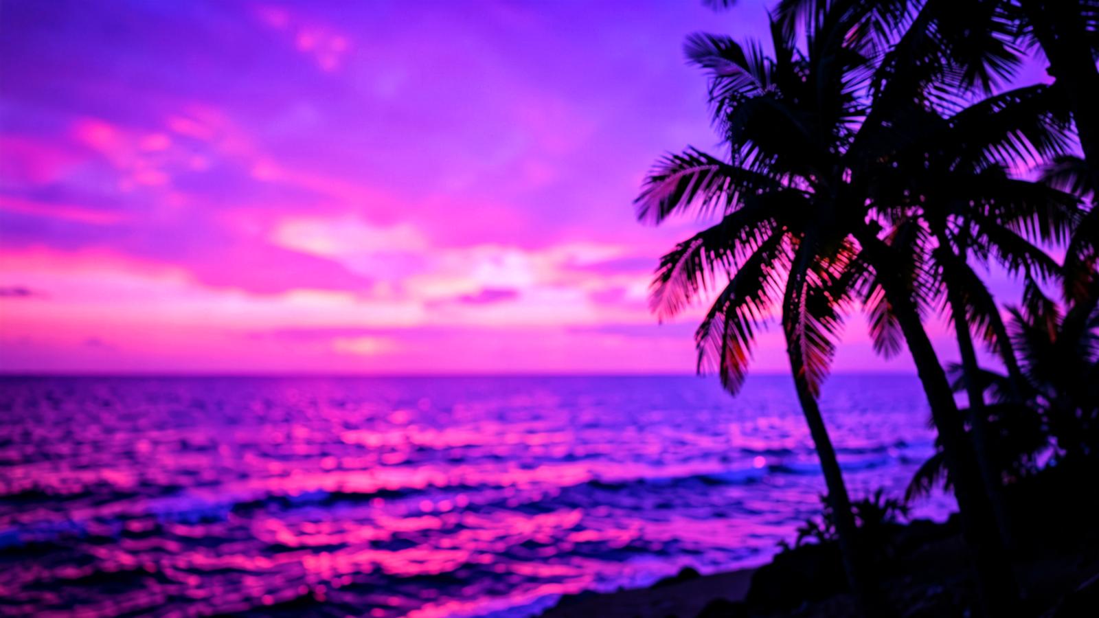 Tropical sunset over the ocean, the signature mood of OkCupid Dating